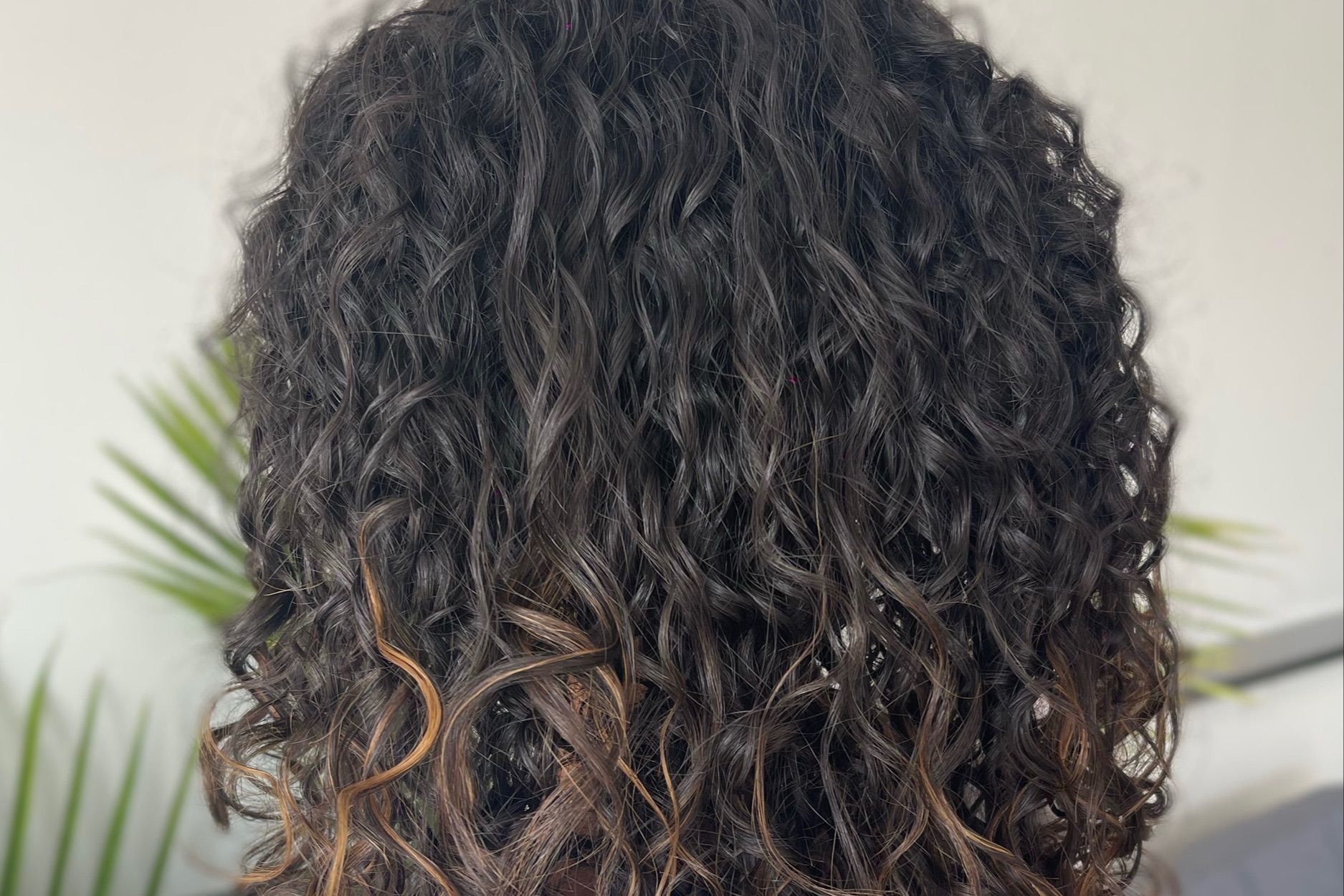 Curly Haircut (Introductory Sale) portfolio