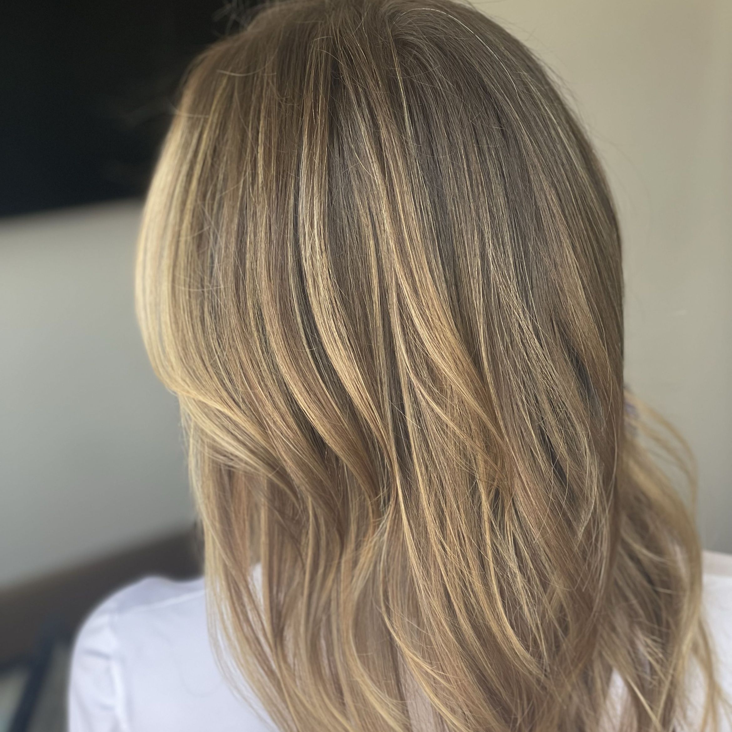 All Inclusive Partial Blonding/Highlights/Balayage portfolio