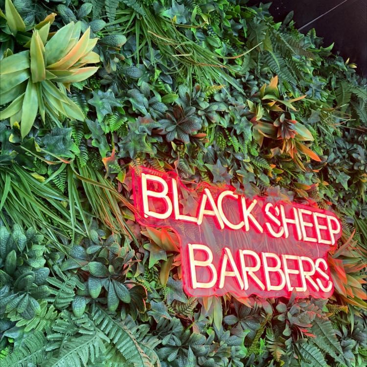 Slim The Black Sheep Barber - Lakewood - Book Online - Prices, Reviews ...