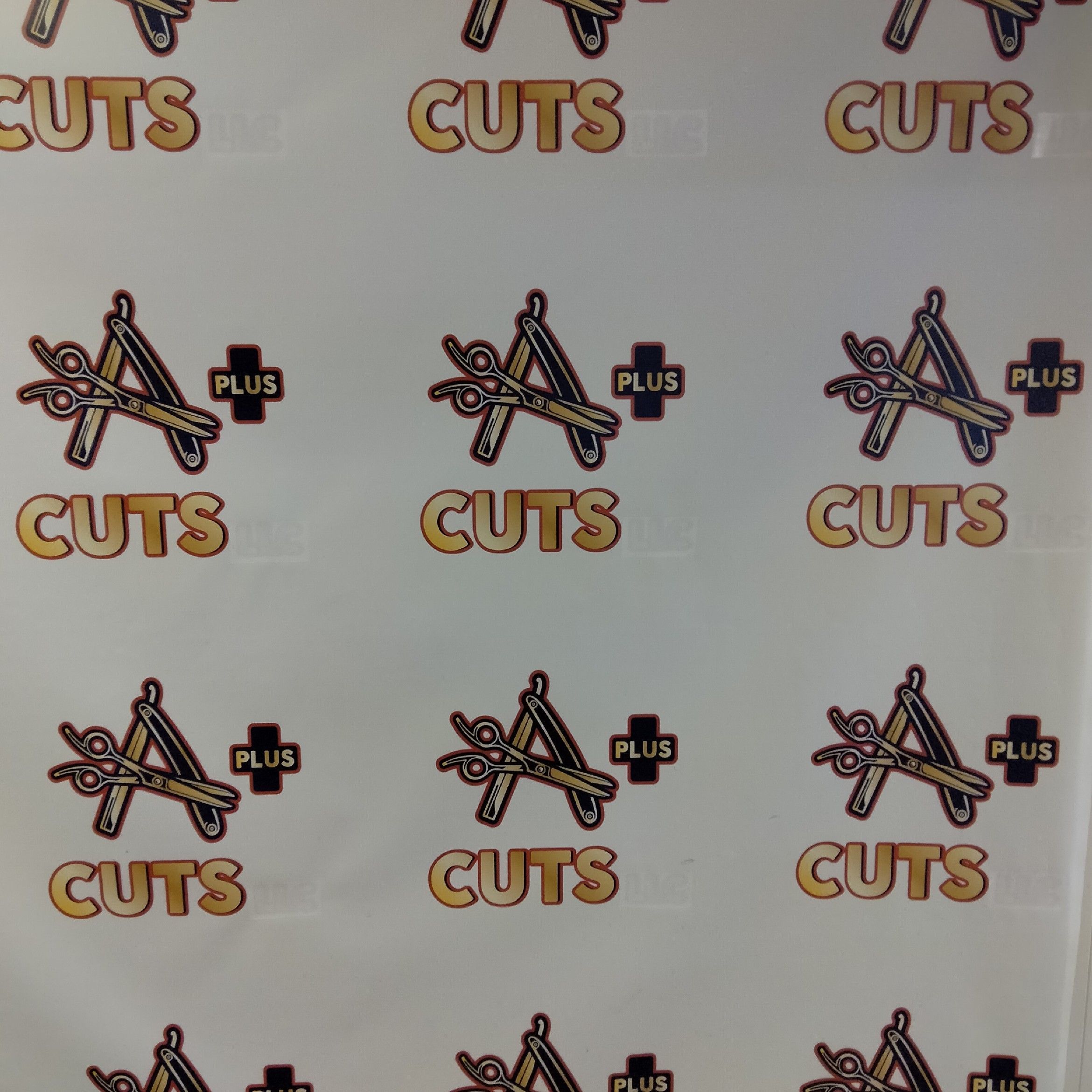 A+Plus Cuts, 484 S Main St, Geneva, 14456