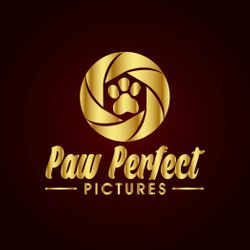 Paw Perfect Pictures, Washington, DC, 20010