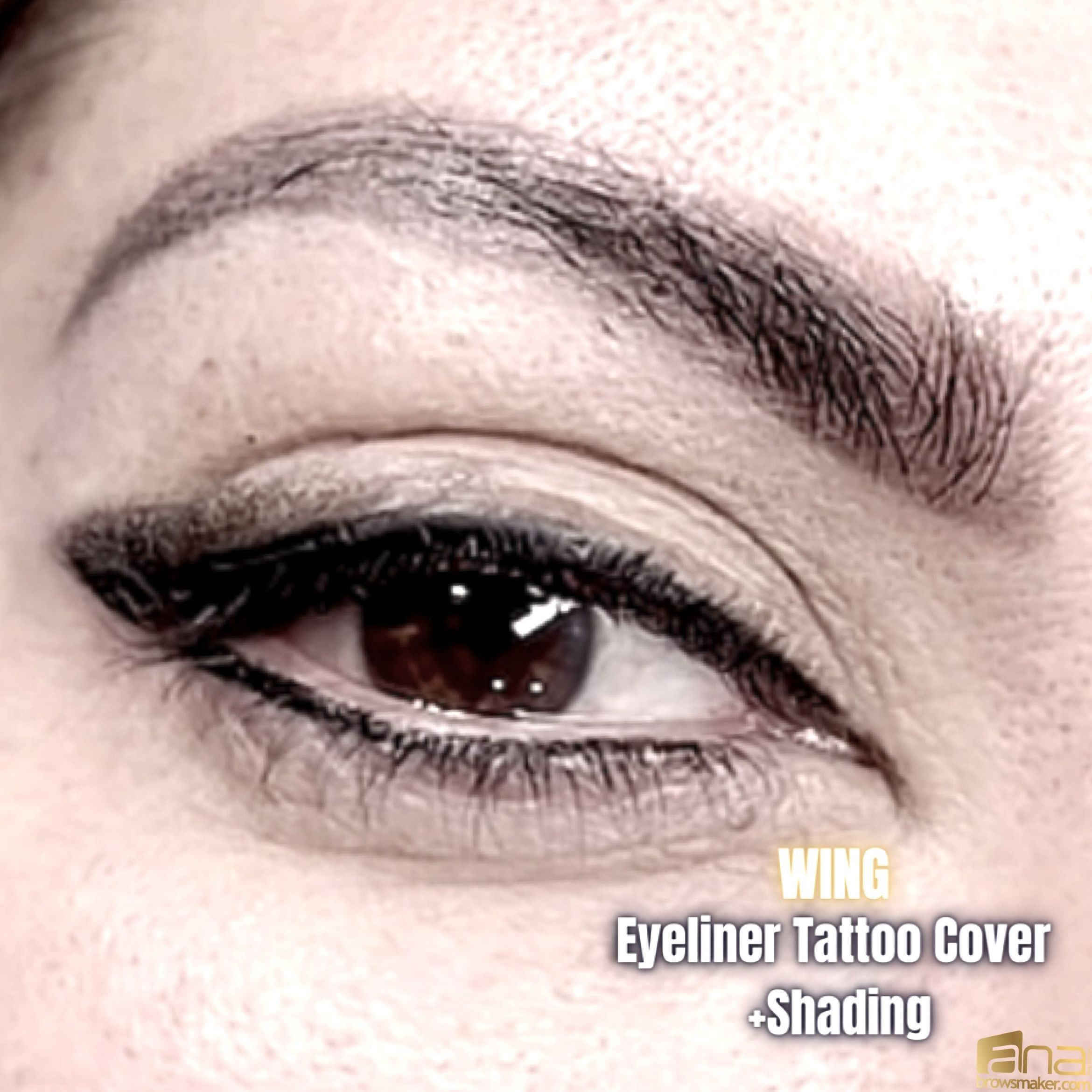 Full Eyeliner with shading portfolio