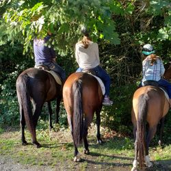 Misty Acres Riding, Lessons and Trail Rides, 29615 SE 281st St, Ravensdale, 98051