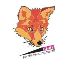 Psychedelic Fox Hair, 2343 W 44th Ave, Denver, 80211