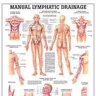2 Lymphatic Drainage Massages portfolio