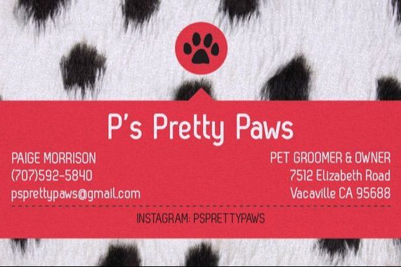 Nice Paws Dog Face 6 Lick Pad – Gralen Company
