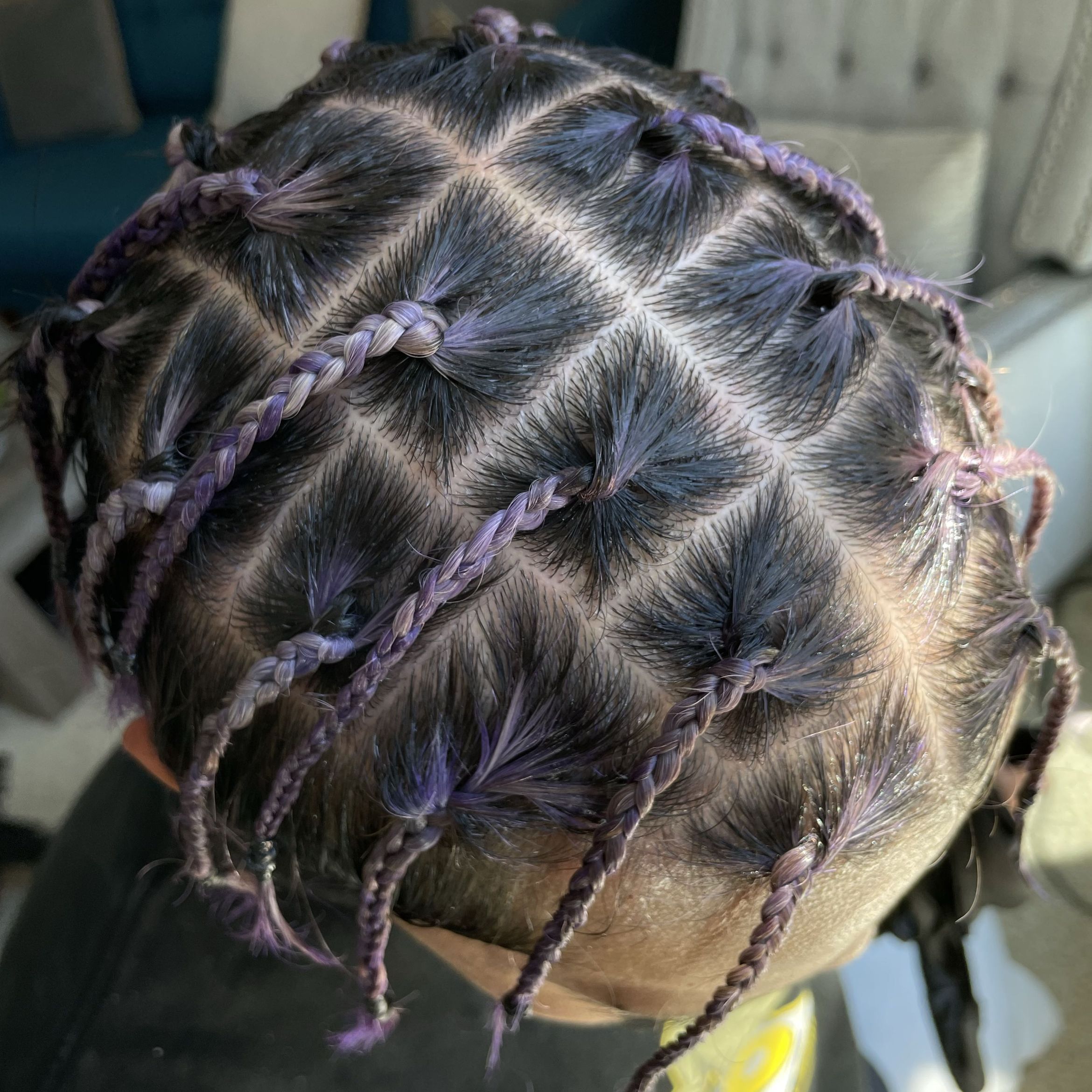 Small/medium box braids or 2 strand twist (halfhea portfolio