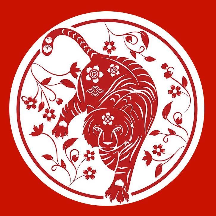 Chinese Astrology Follow-Up portfolio