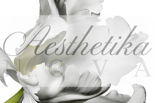 Aesthetika Nova Bloomfield Hills Book Online Prices Reviews