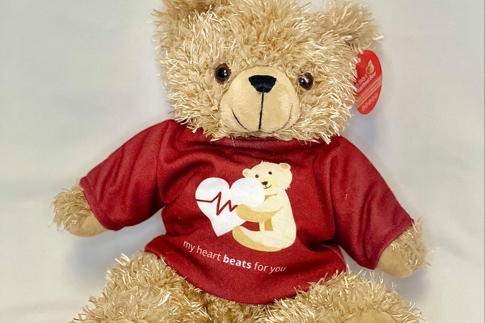 Heartbeat Teddy Bear Appointment portfolio