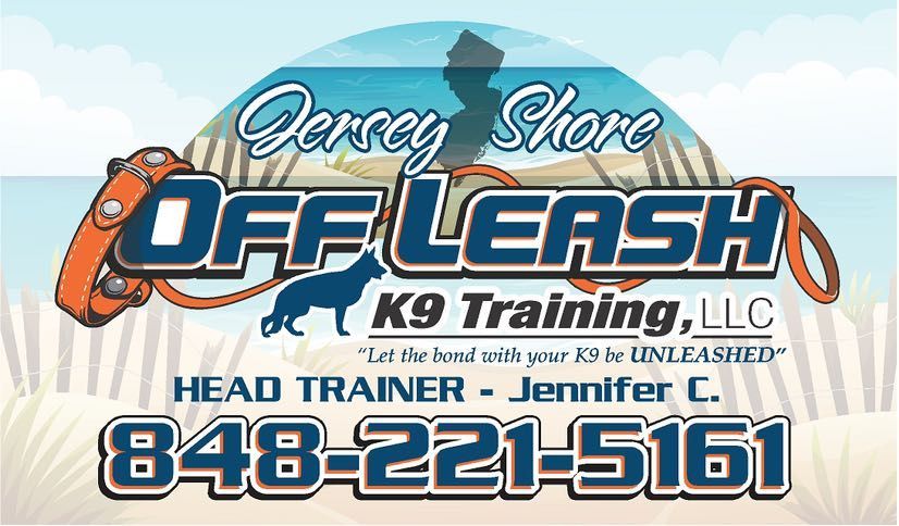 off leash canine training cost