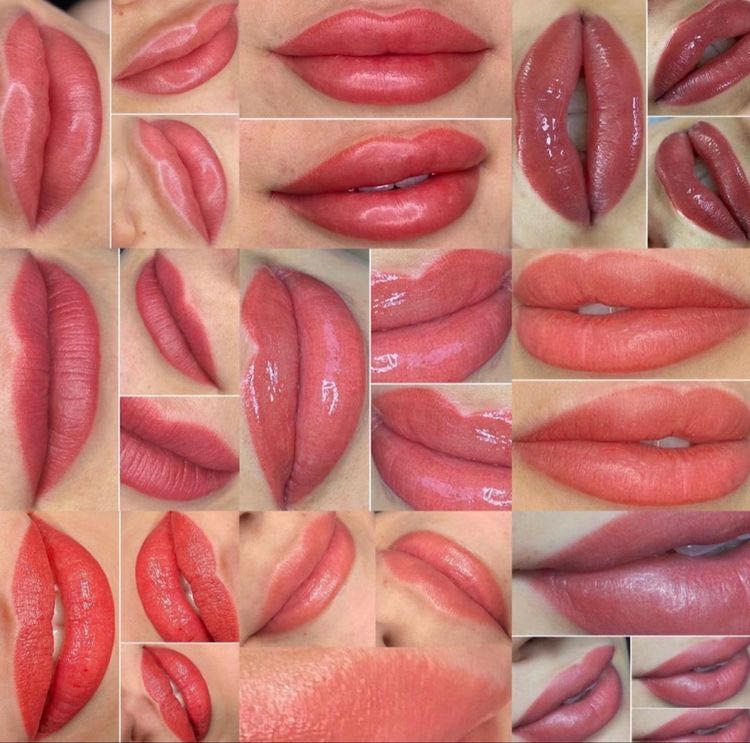 Blush Lip portfolio