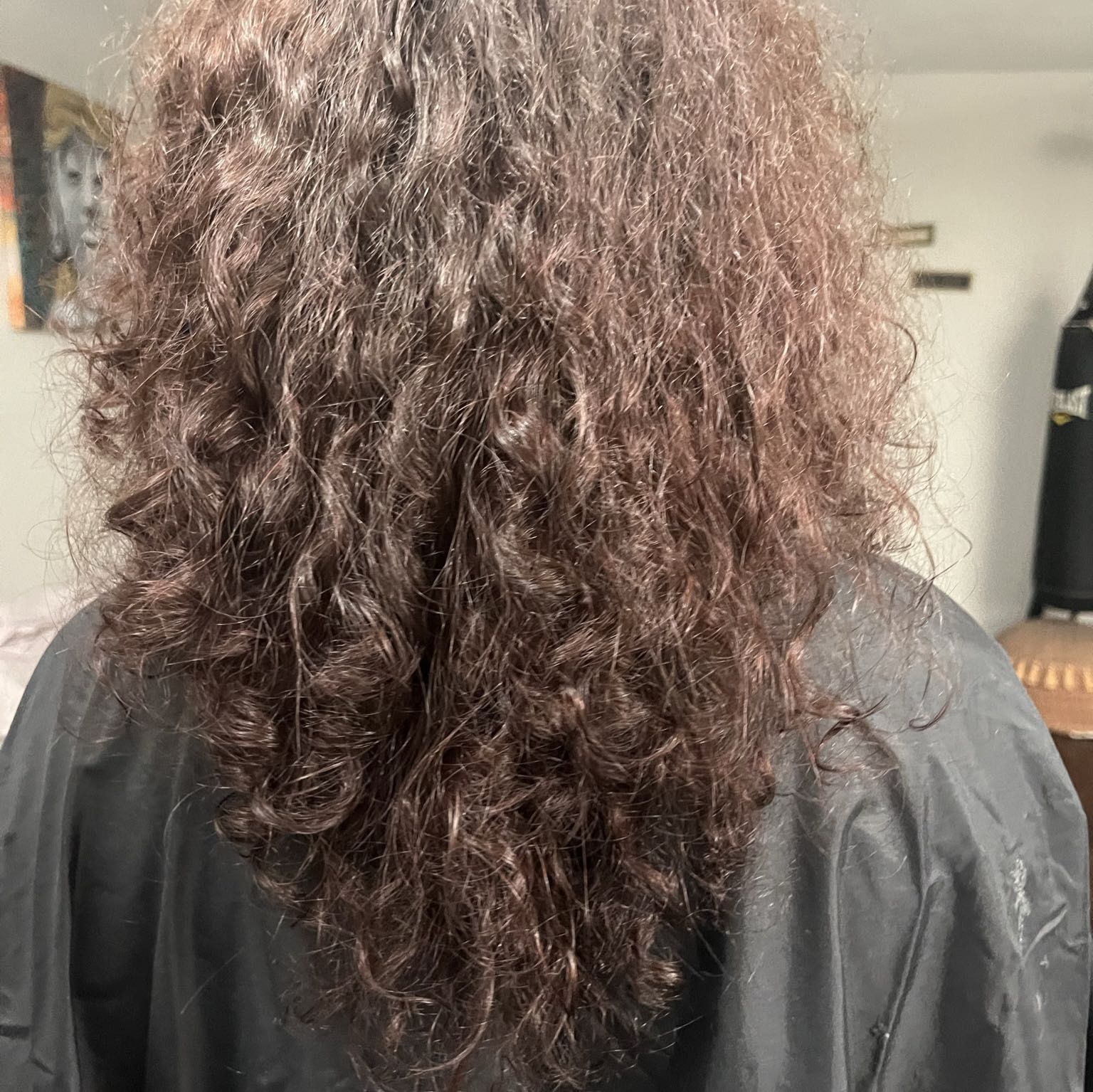 Curly haircut DEPOSIT portfolio