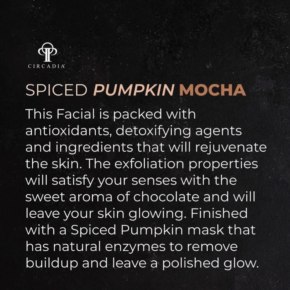FALL: Spiced Pumpkin Mocha Facial portfolio
