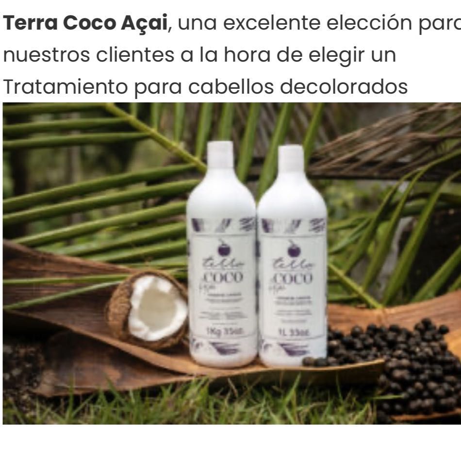 Terra Coco Açaí portfolio
