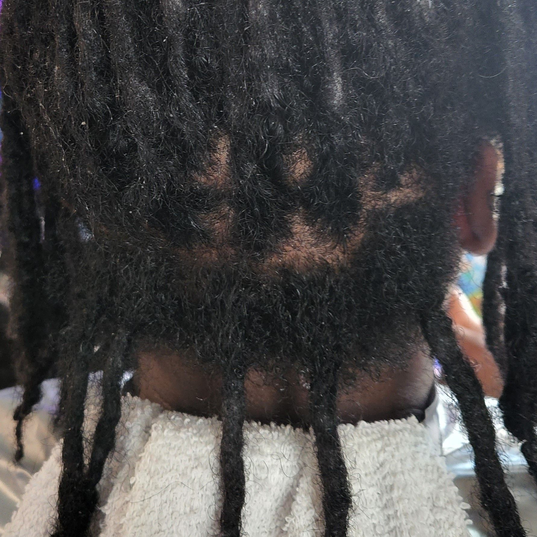 Luscious Locs By Azul Amor - Savannah - Book Online - Prices, Reviews ...