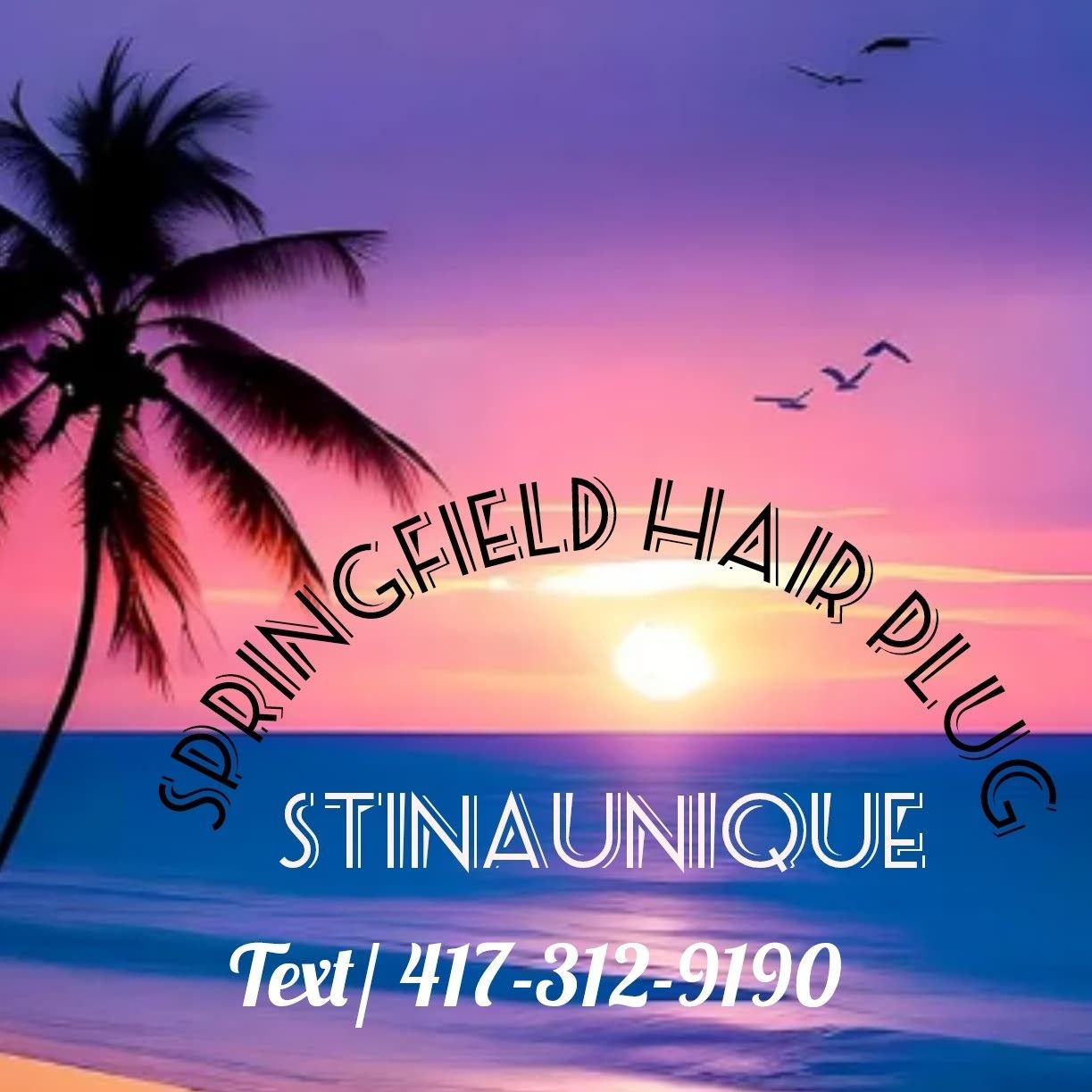 Locs & Braids By StinaUnique, Springfield, 65802