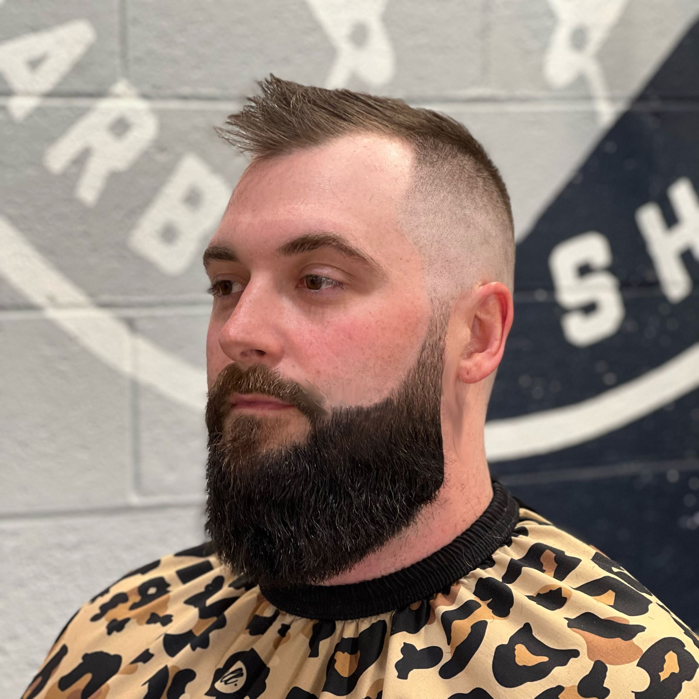 Haircut + Beard Trim portfolio
