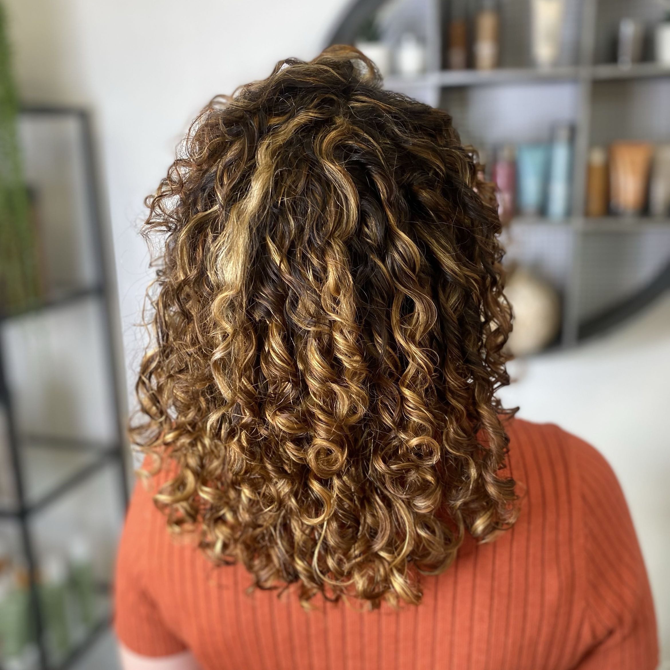Pintura- curly hair highlights portfolio