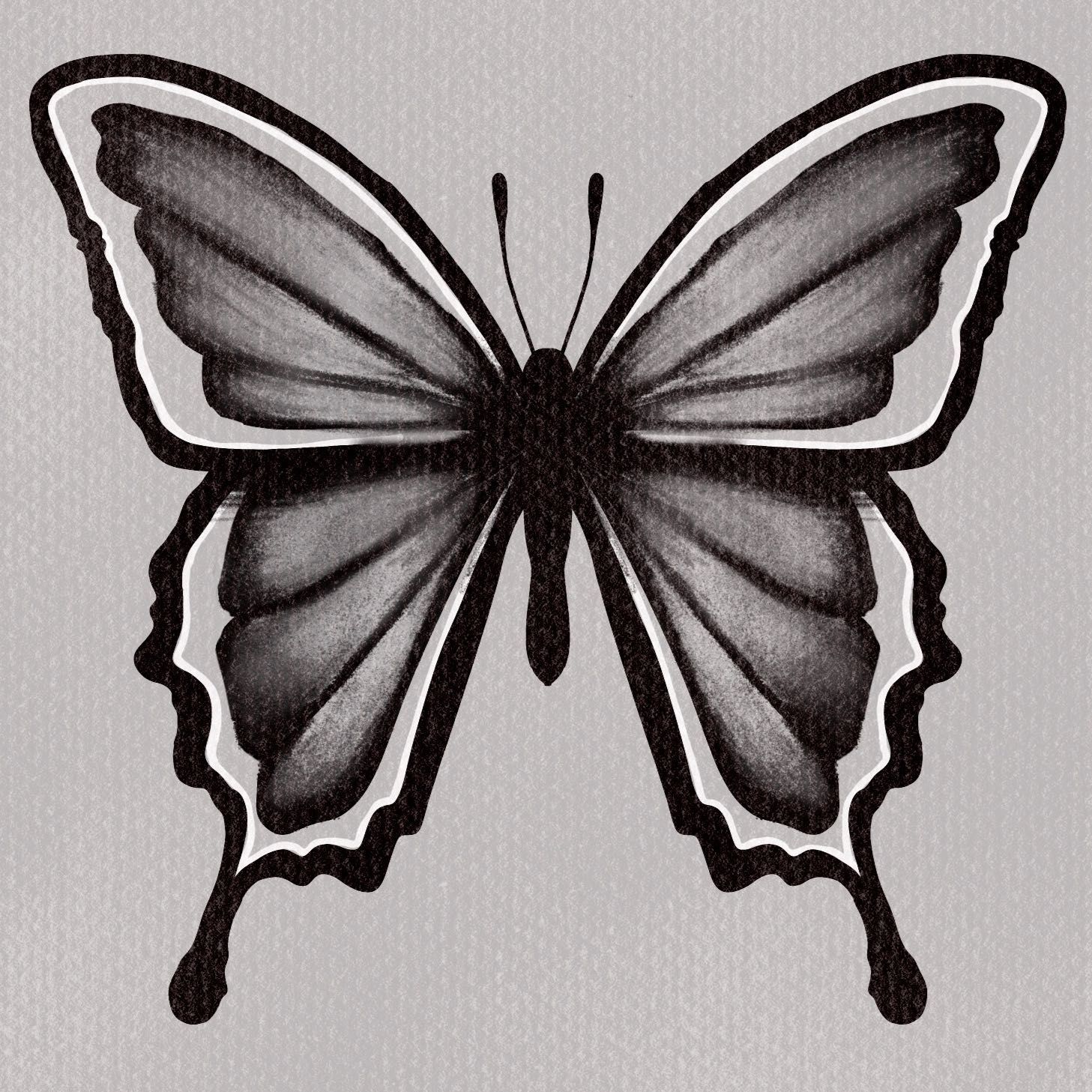 butterfly - shaded- flash tattoo portfolio