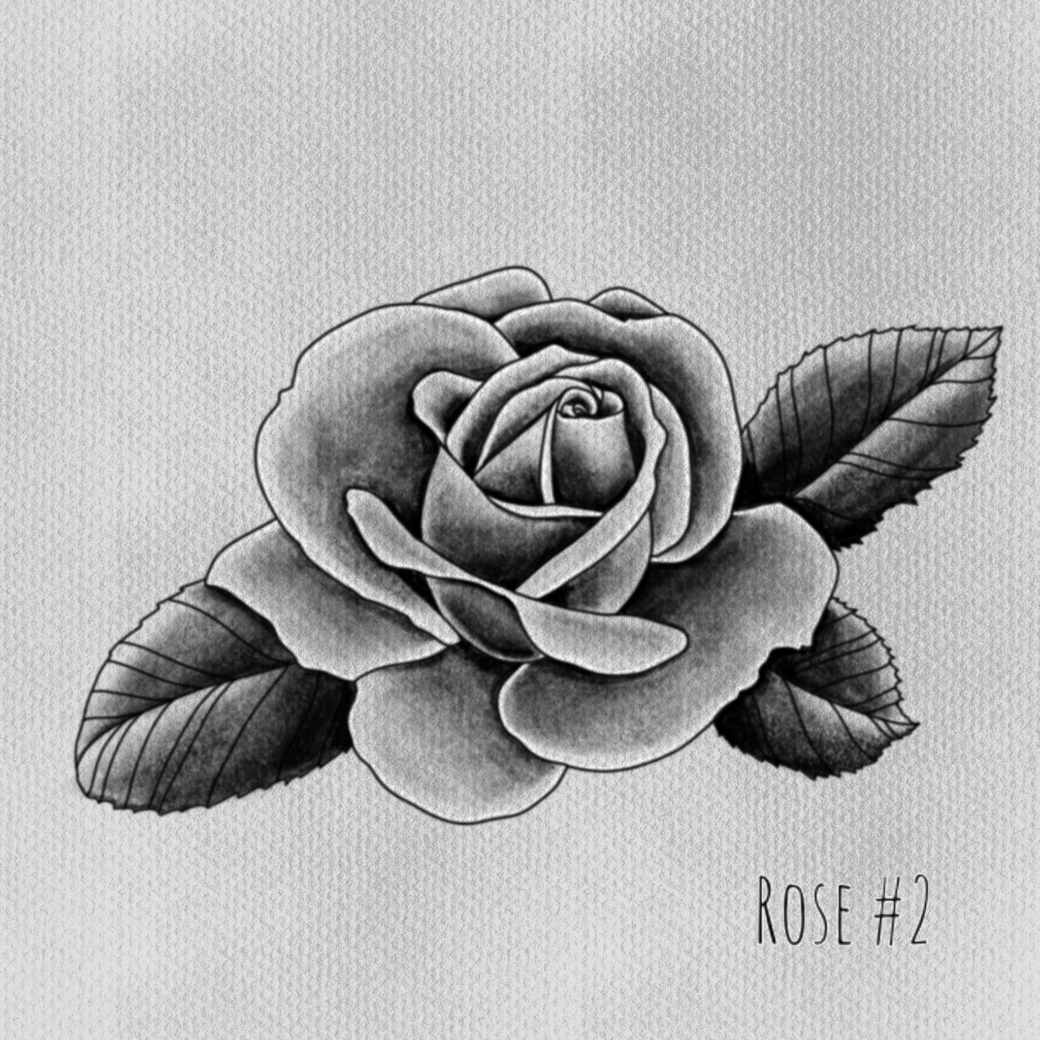 rose #2 portfolio