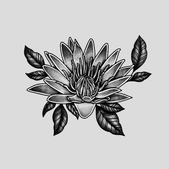 water lily - flash tattoo portfolio