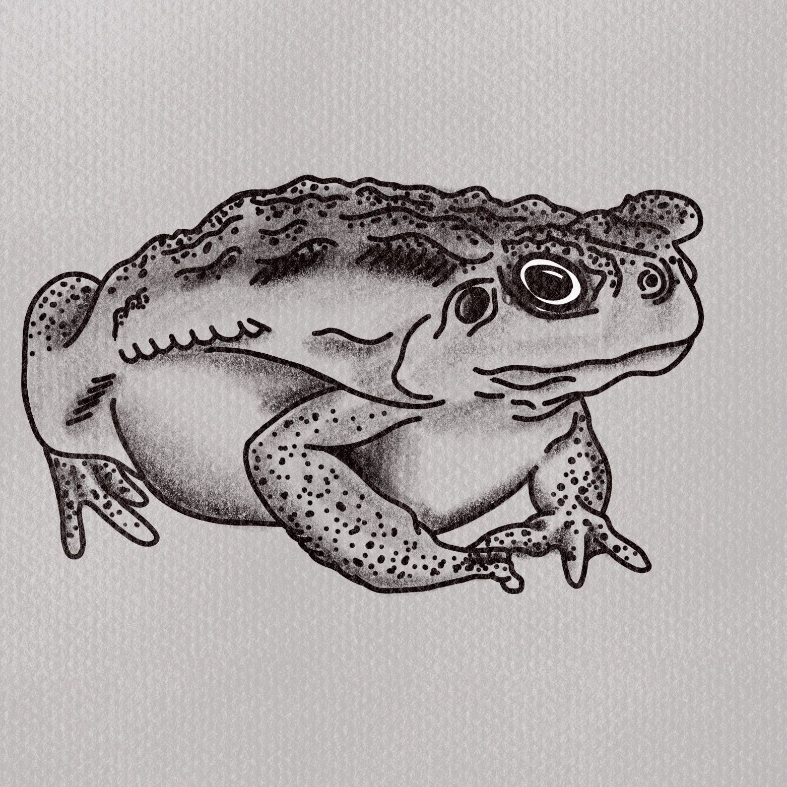 toad - flash tattoo portfolio