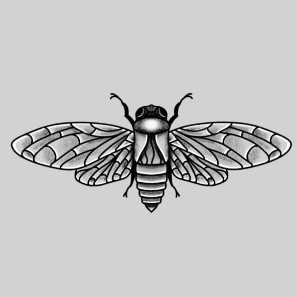 cicada - flash tattoo portfolio