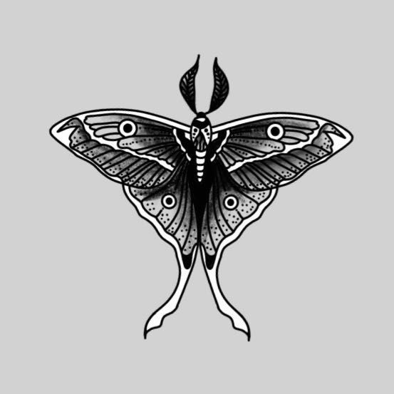luna moth - flash tattoo portfolio