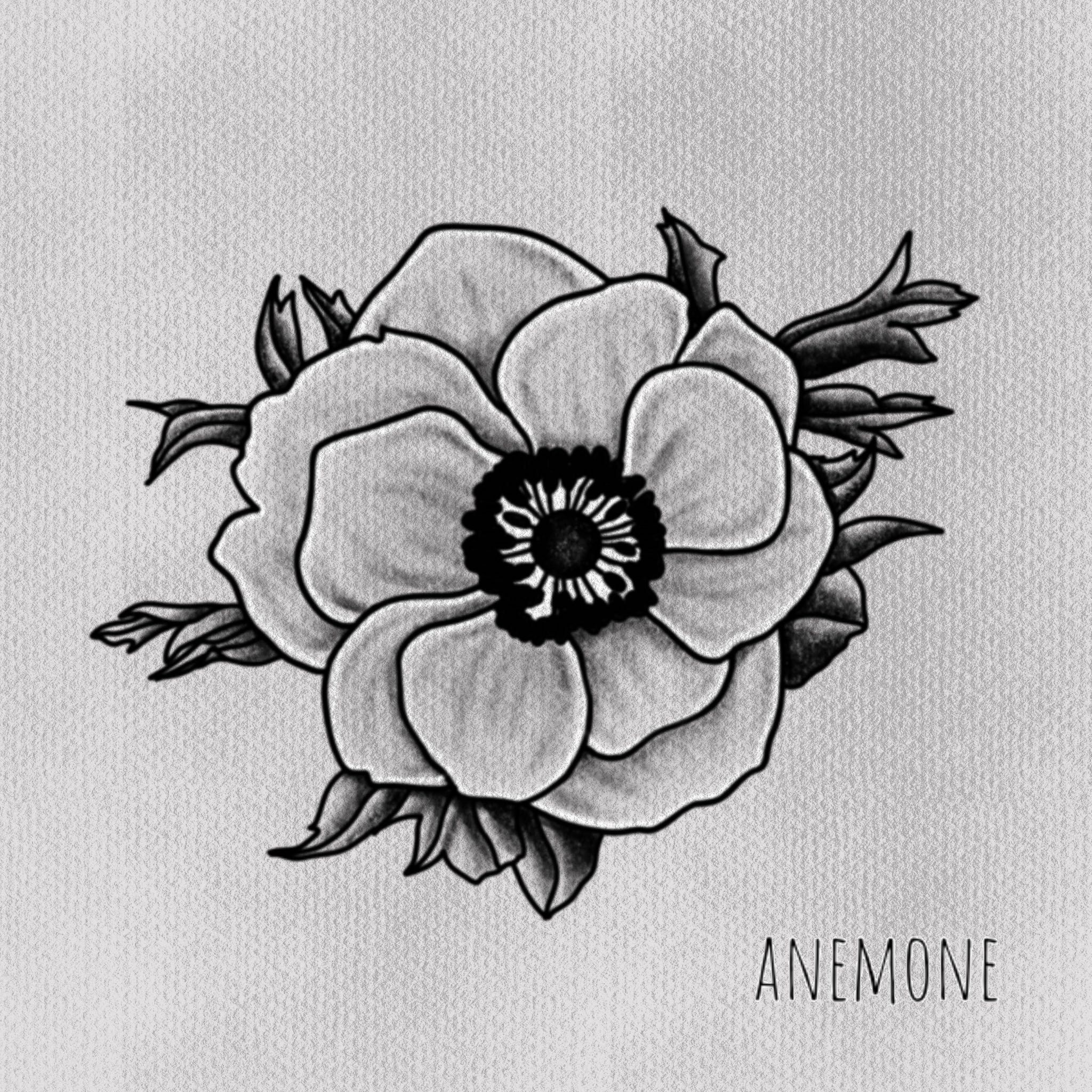 anemone portfolio