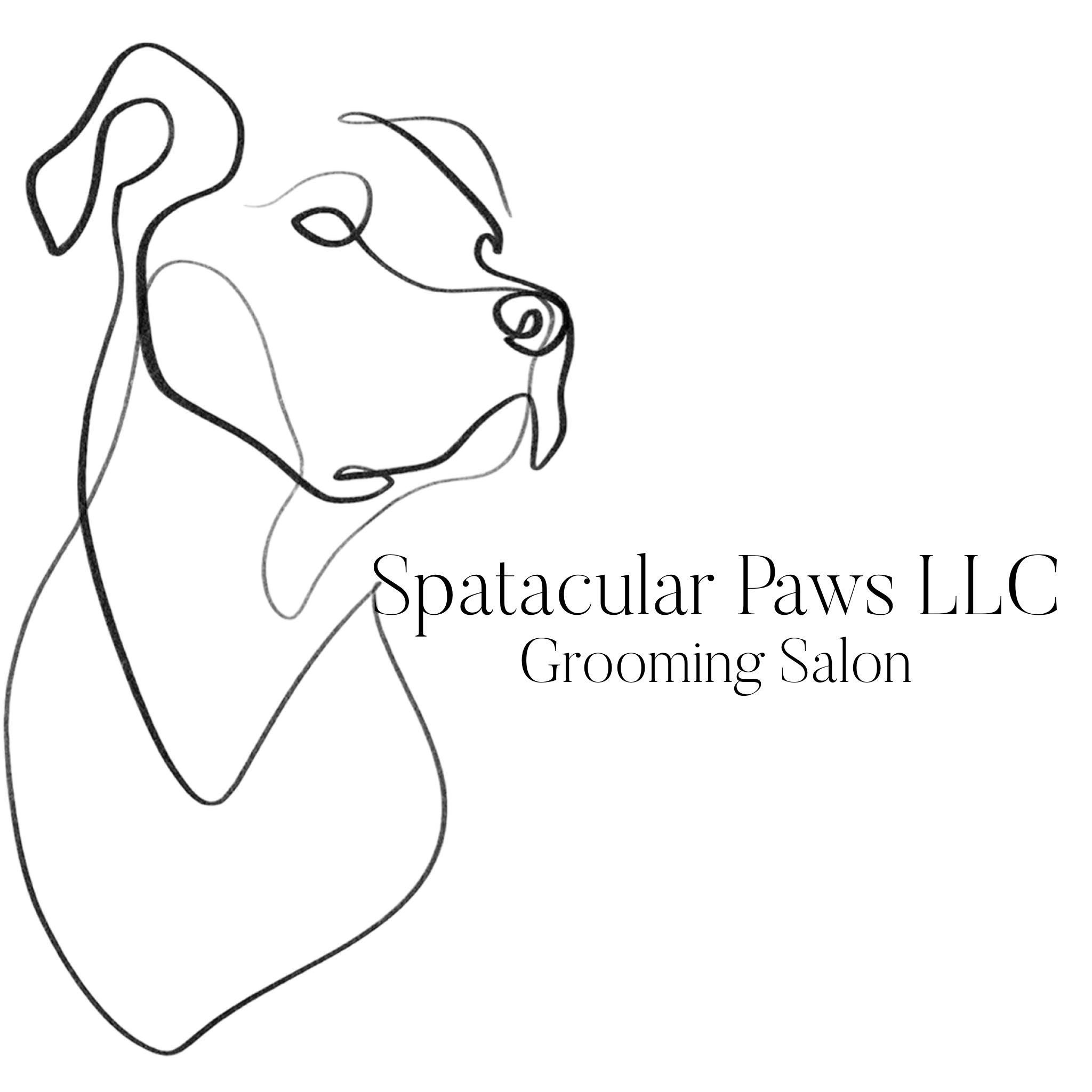 Spatacular Paws LLC, 223 S Fisk St, Green Bay, 54303