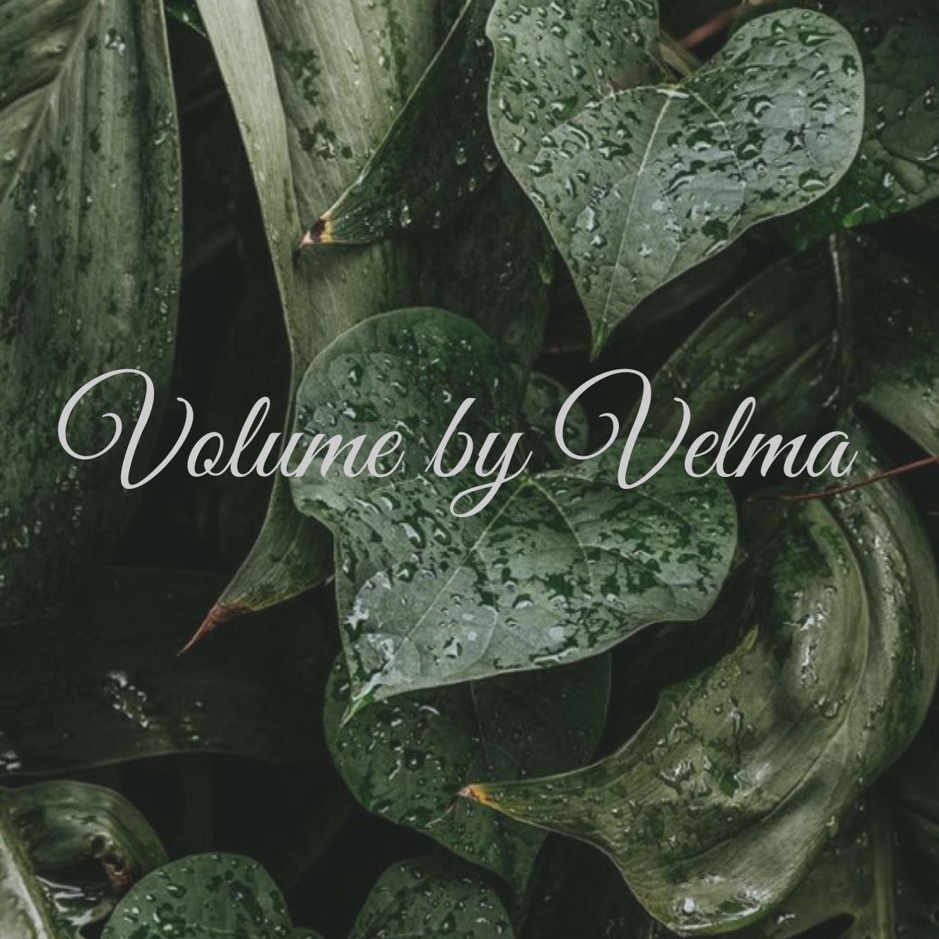 Volume by velma, 1601 12th st, Sacramento, 95814