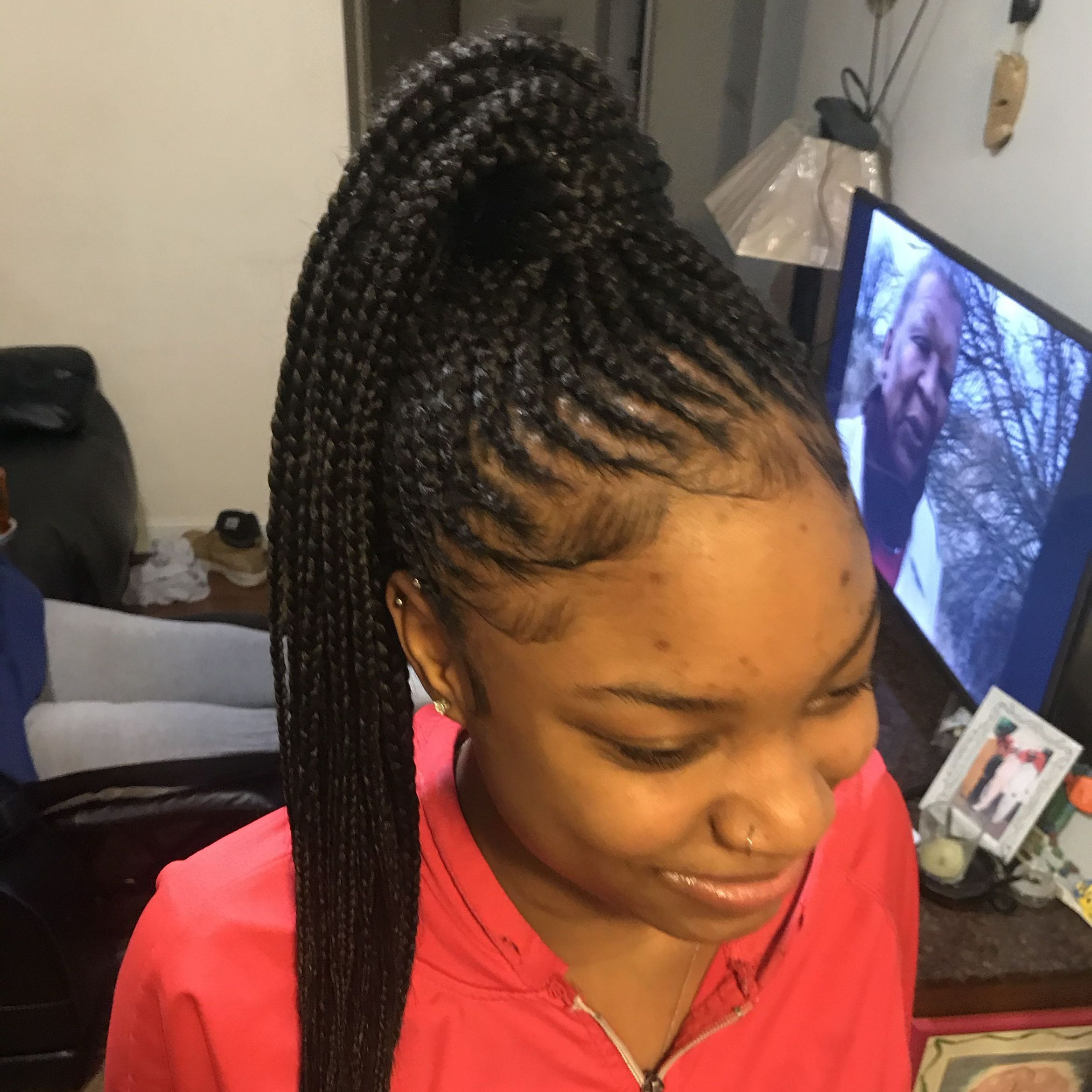Small Braided ponytail portfolio