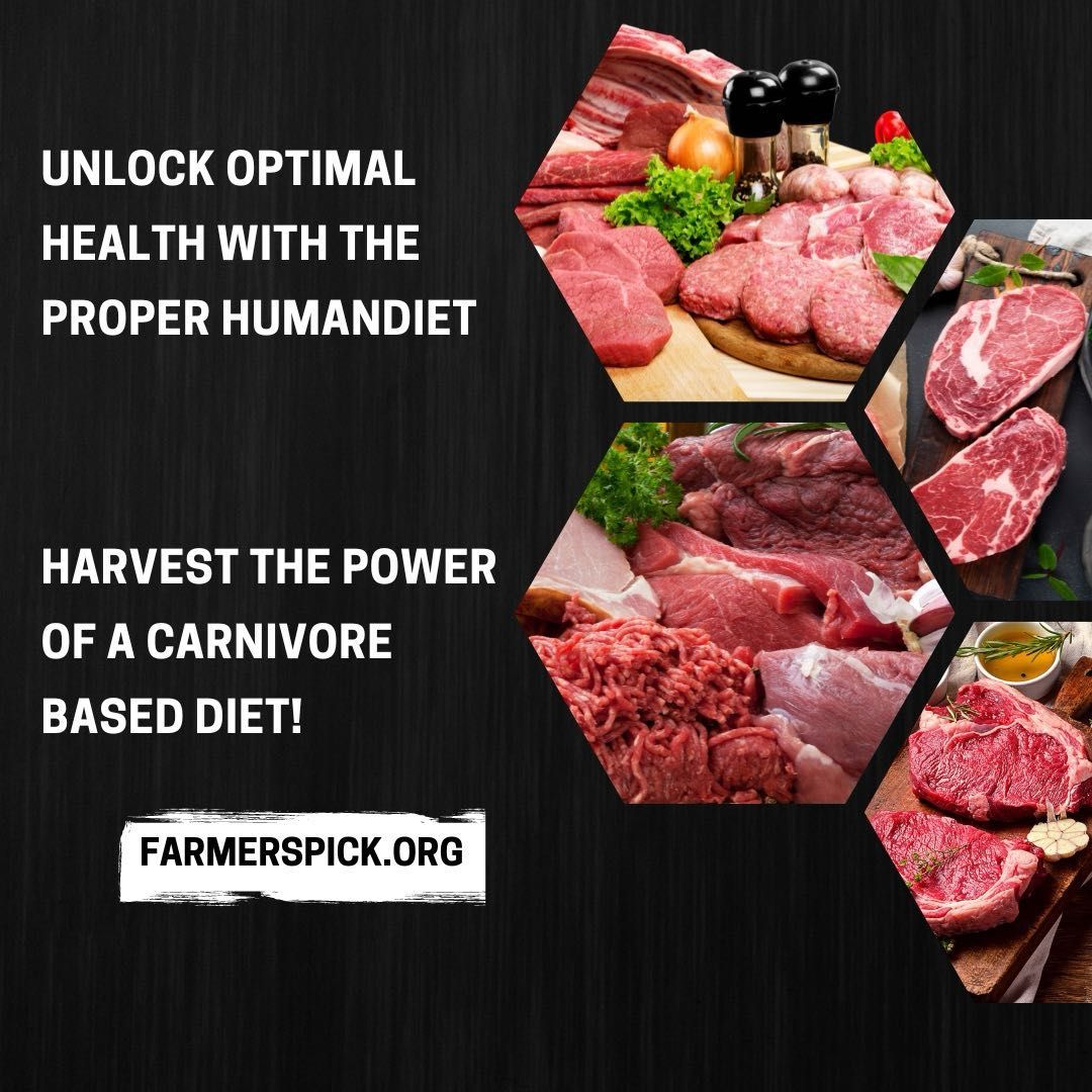 Organic Meat Box portfolio