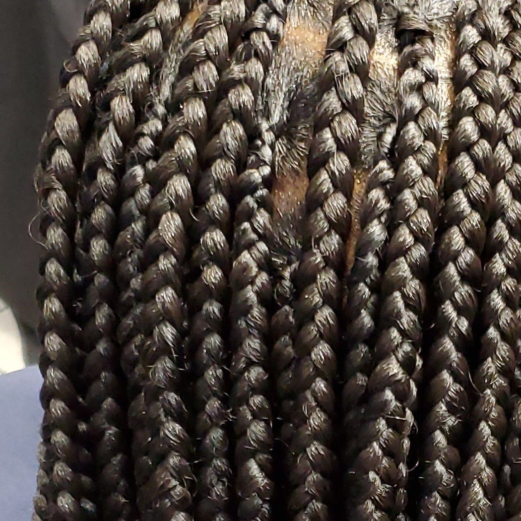 Knotless braids small portfolio