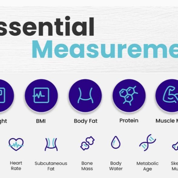 BMI, Fat, Bone, Muscle Density Calculation portfolio