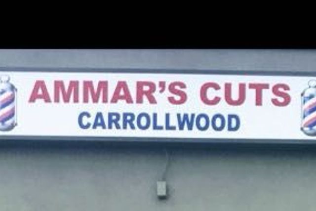 Ammars Cuts Carrollwood, 4950 Northdale Blvd, 103, Tampa, 33624