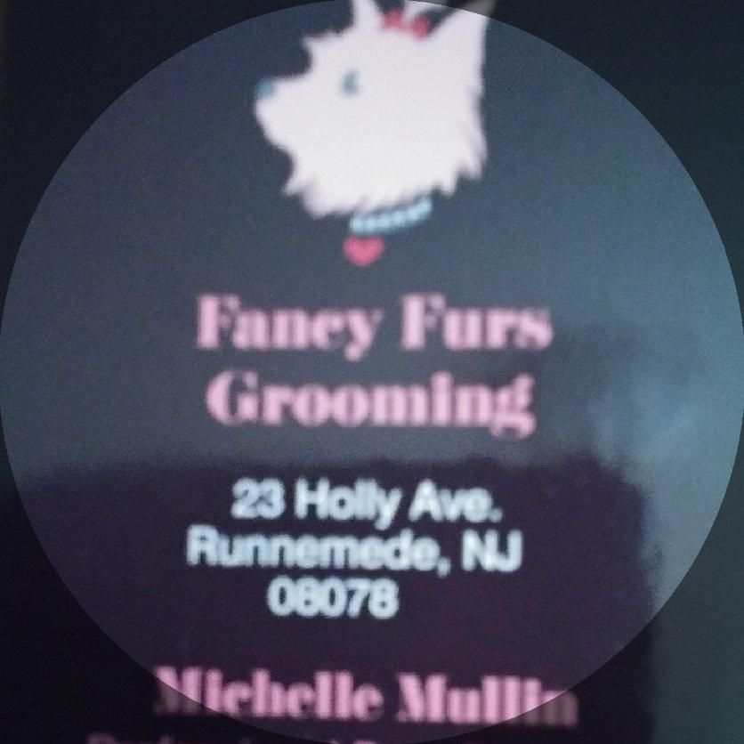 Fancy Furs Grooming Salon, 23 Holly Ave, Runnemde, 08078
