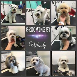 A kut Above The Rest Pet Grooming, 14032 Montecito Drive, Victorville, 92395