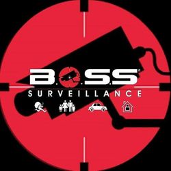 Boss Surveillance, 16801 Grandriver, Detroit, 48219