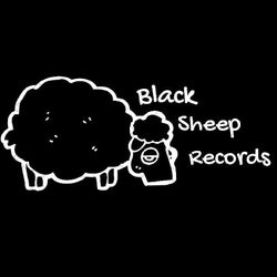 Black Sheep Records, 123 Forest Park Dr, Youngstown, 44512