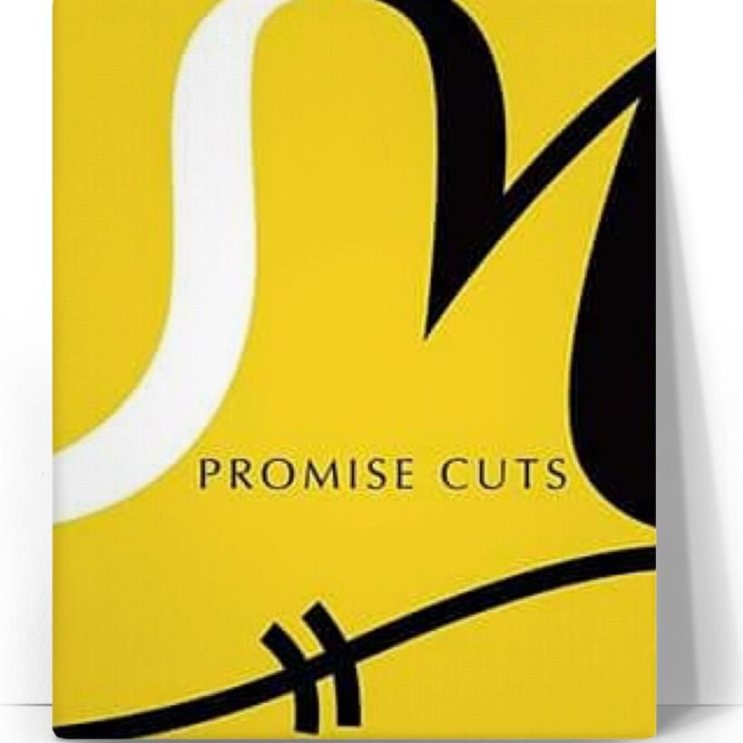 Promise Cuts Barber Beauty Salon, 4019 Greenwood Rd, Shreveport, 71109