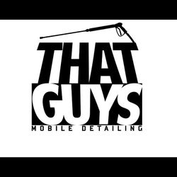 That Guy's Mobile Detailing, 725 Page Ave, Lebanon, 37087