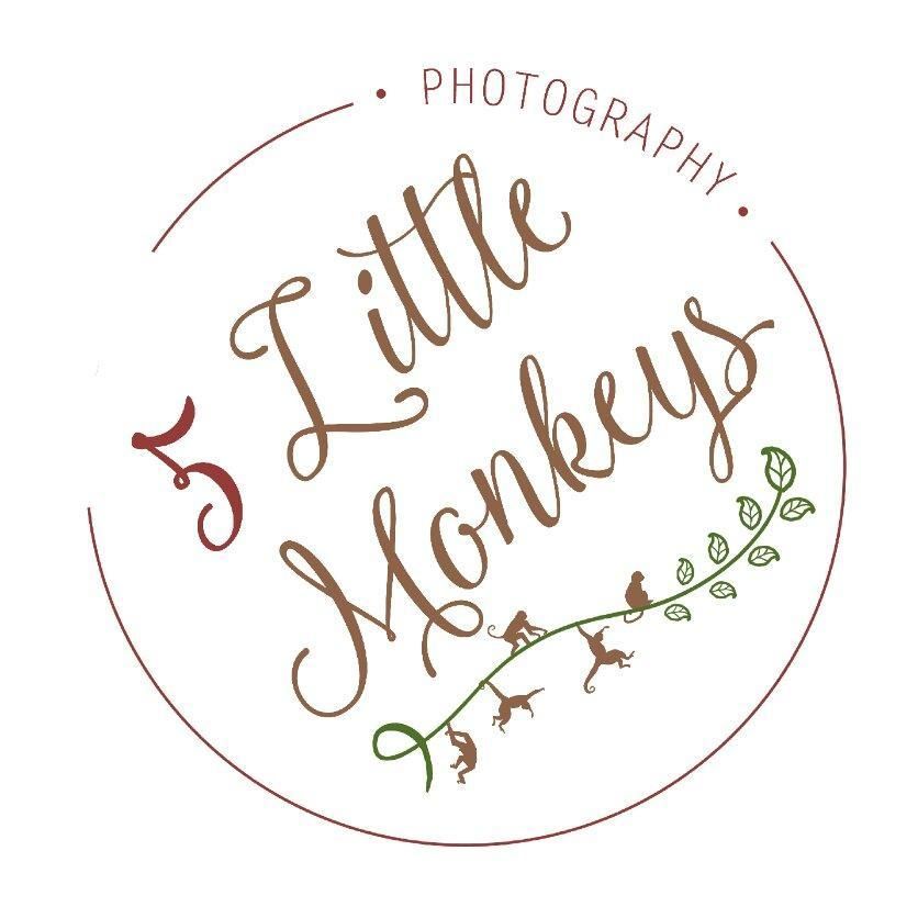 5 Little Monkeys Photography, 760 E Parkwood St, Sidney, 45365