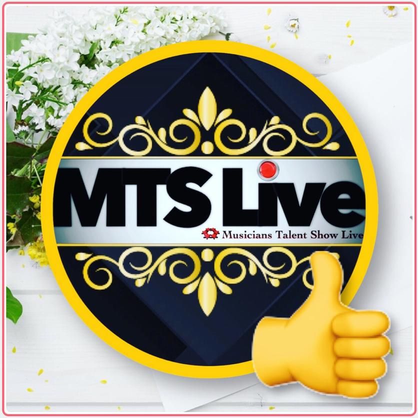 MTS LIVE Photos- Videos & live, 4816 Heron Pointe Dr, Tampa, 33616