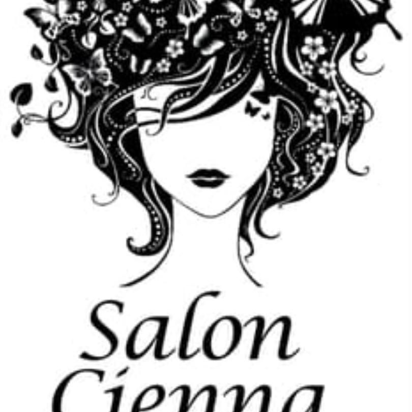 Salon Cienna, 120 W Northwest Hwy Rt. 14, Palatine, IL, 60067