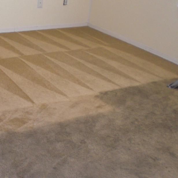 Gavin Quality Carpet & furniture Cleaning, 20w grixdale apt 2, Highland park, 48203