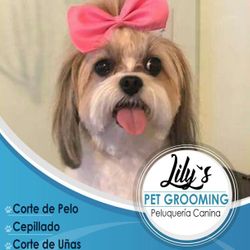 Lily's Pet Grooming, Taylors, Taylors, 29687