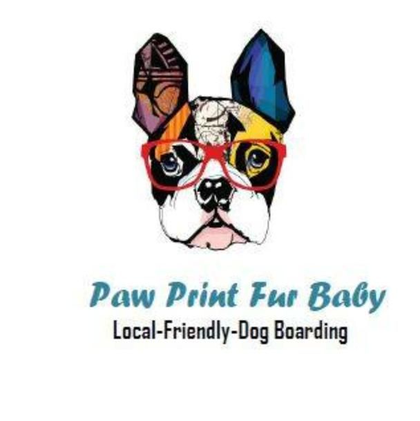 Paw Print Fur Baby, Southwest 160th Avenue, Miramar, 33027