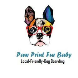 Paw Print Fur Baby, Southwest 160th Avenue, Miramar, 33027